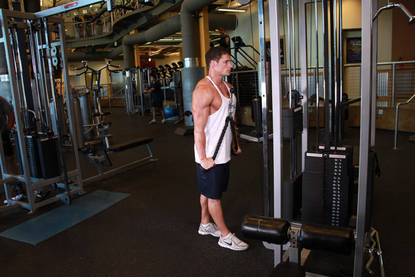 Triceps Pushdown - Rope Attachment — end position