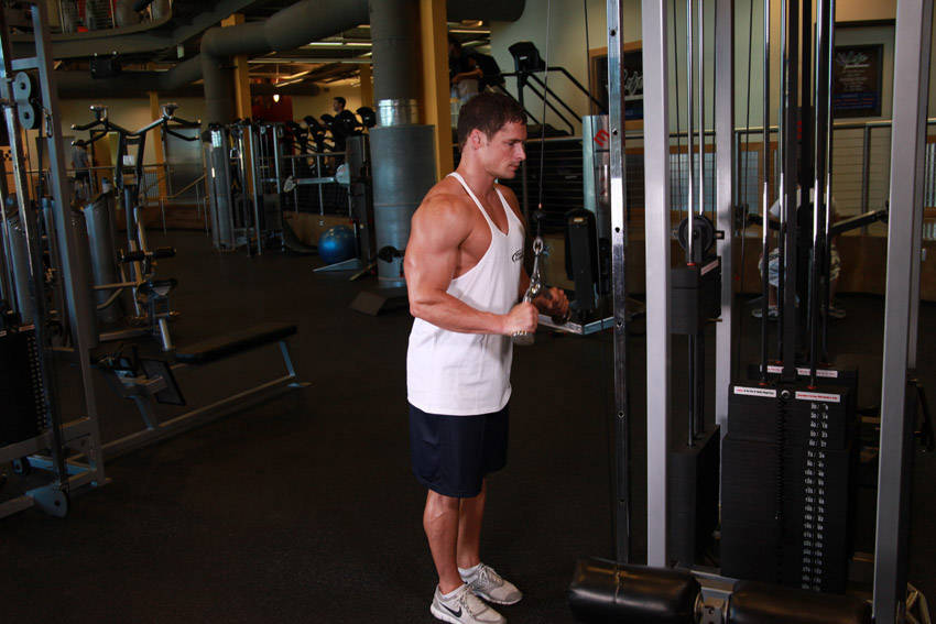 Triceps Pushdown - V-Bar Attachment — start position