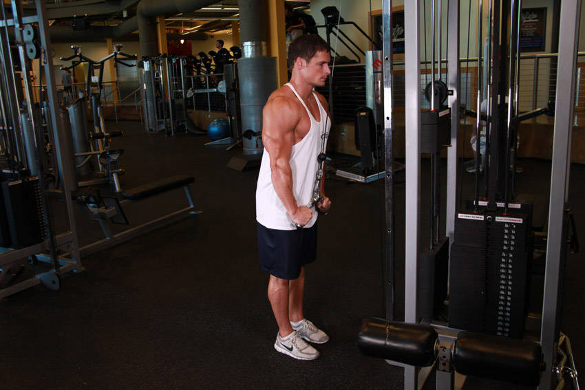 Triceps Pushdown - V-Bar Attachment — end position