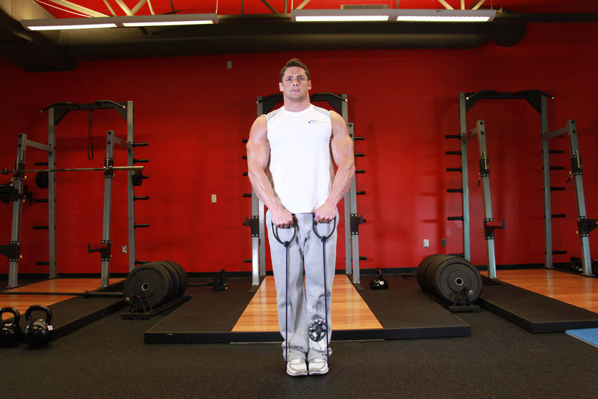 Upright Row - With Bands — start position